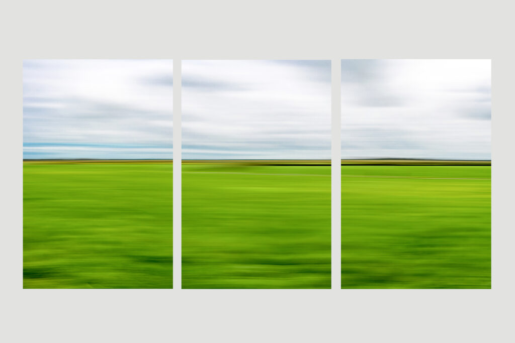 dreimalgruen © holgerharms dreimalgruen © holgerharms