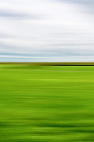 dreimalgruen © holgerharms 2v3 dreimalgruen © holgerharms 2v3