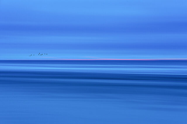 kleine hochzeit © holgerharms kleine hochzeit © holgerharms