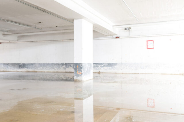 tg1 © holgerharms tg1 © holgerharms