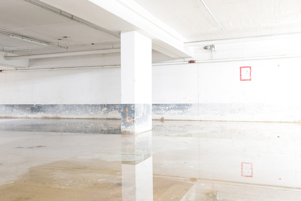 tg1 © holgerharms tg1 © holgerharms