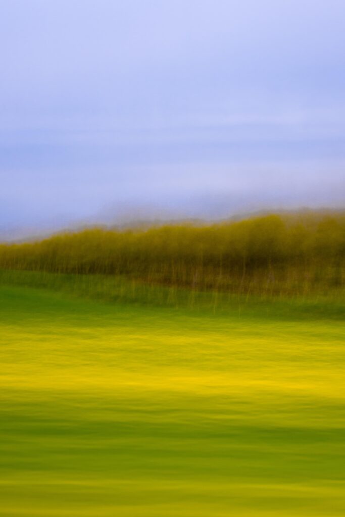 wupp di dree © holgerharms wupp di dree © holgerharms