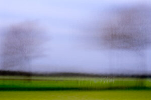 wupp di een © holgerharms